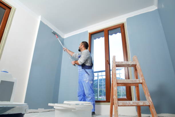 Best Drywall Removal and Disposal  in Rio Vista, CA